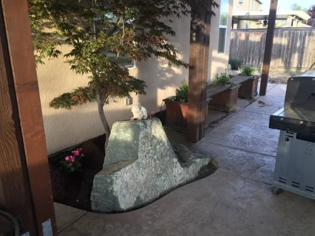 Custom yard cleanup service in Roseville, CA - Spartan Landscape Development