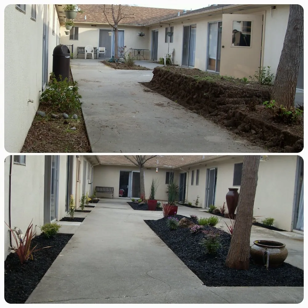 Reliable yard maintenance for year-round maintenance in Roseville, CA by Spartan Landscape Development