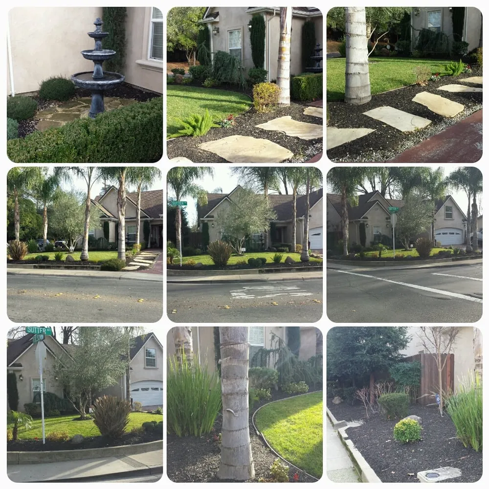 Custom landscaping services in Roseville, CA by Spartan Landscape Development