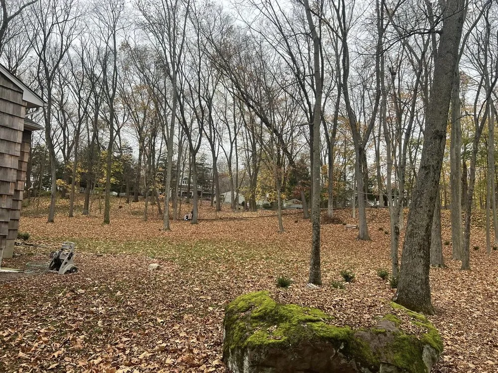 Expert yard cleanup service for residential properties in Hasbrouck Heights, NJ by Spartan Landscaping