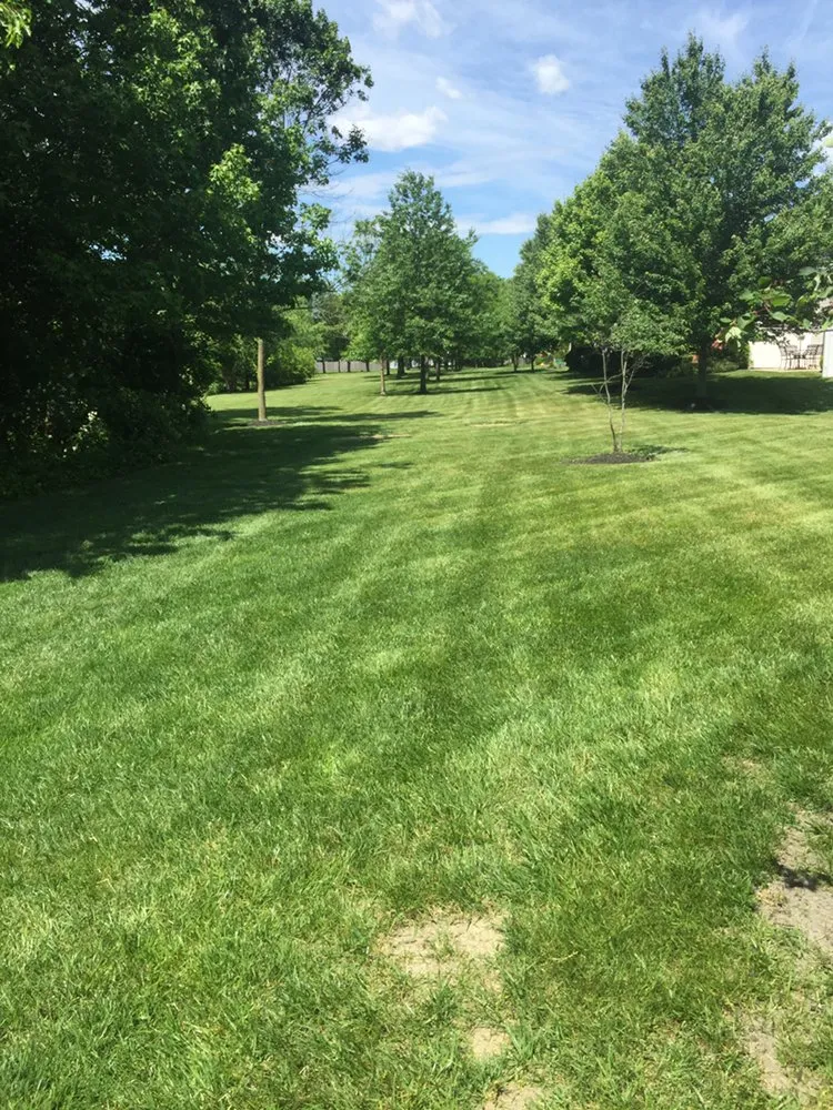 Top-rated landscaping services experts serving West Deptford, NJ - Spartan Landscaping