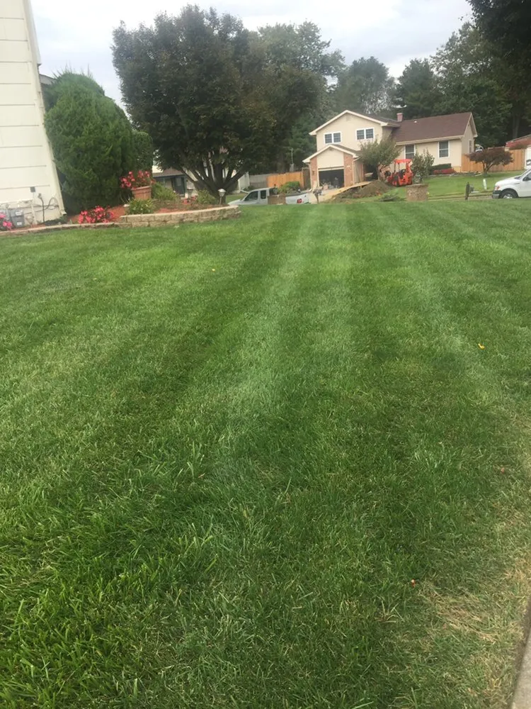 Professional landscaping services for outdoor upgrades in West Deptford, NJ by Spartan Landscaping