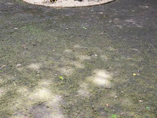 Trusted landscaping services experts serving Alpharetta, GA - Spartan Lawn & Landscape