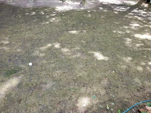 Professional landscape installation in Alpharetta, GA by Spartan Lawn & Landscape