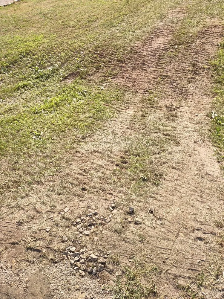 Professional yard maintenance for outdoor upgrades in East Lansing, MI by Spartan Lawn Care