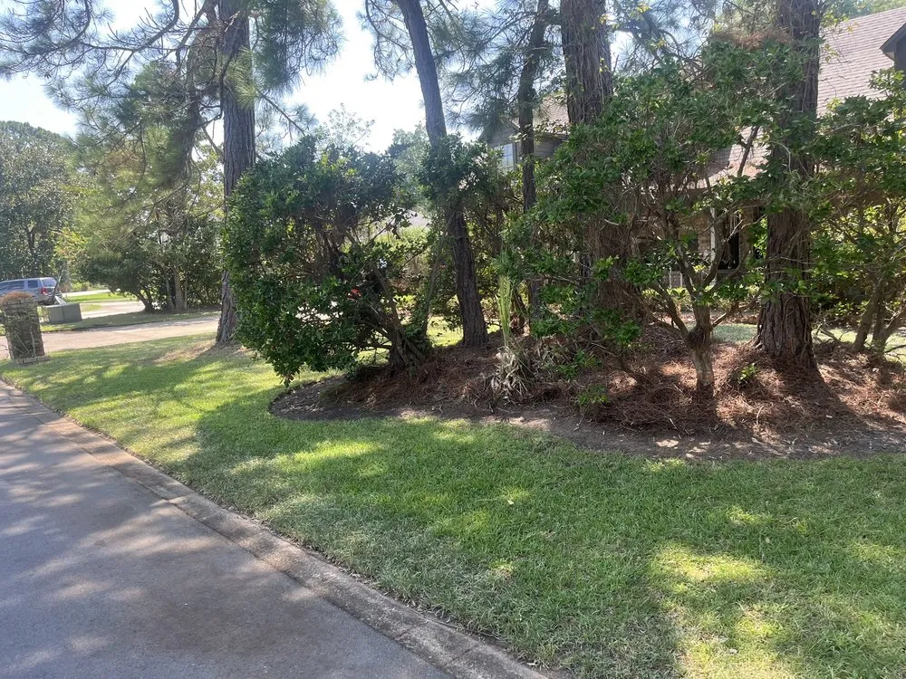 Reliable residential landscaping in Niceville, FL by Spartan Lawn Pro LLC