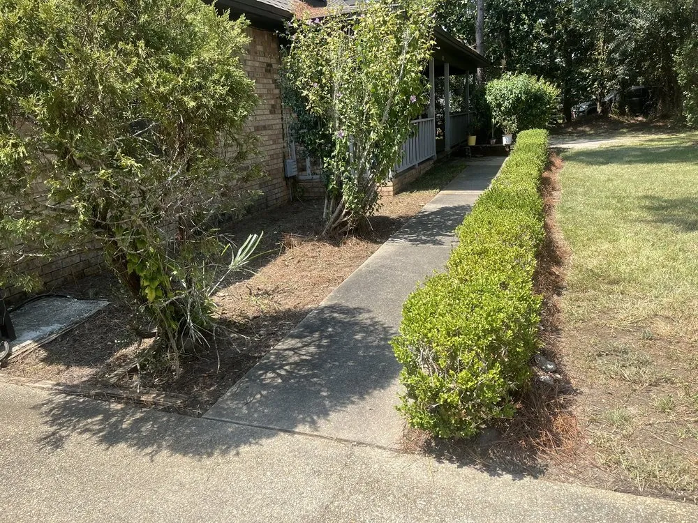 Professional yard cleanup service in Niceville, FL by Spartan Lawn Pro LLC