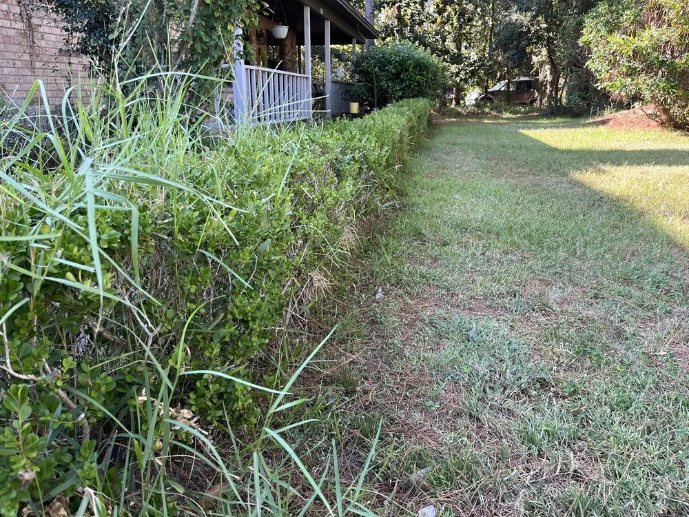 Custom yard cleanup service in Niceville, FL by Spartan Lawn Pro LLC