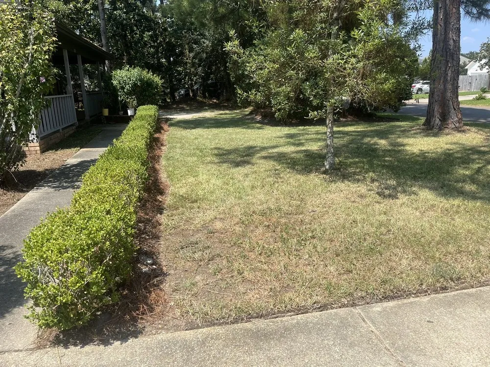 Expert yard maintenance experts serving Niceville, FL - Spartan Lawn Pro LLC