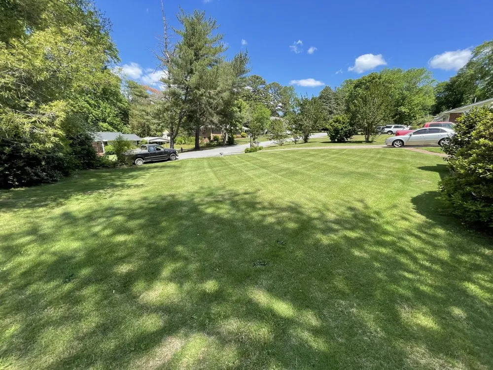 Expert landscaping services with custom design in Spartanburg, SC by Spartan Lawn Service