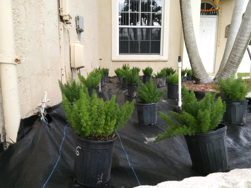 Expert yard cleanup service experts serving Opa Locka, FL - Spartan Pro Landscaping & Lawn Care
