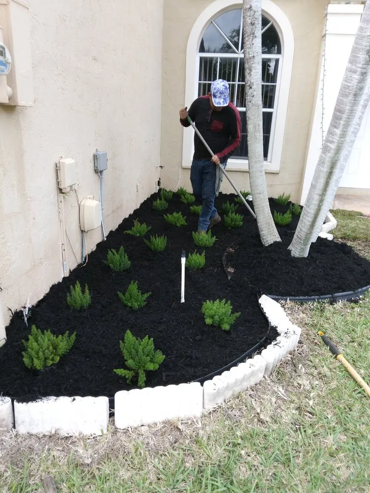 Affordable yard maintenance in Opa Locka, FL by Spartan Pro Landscaping & Lawn Care