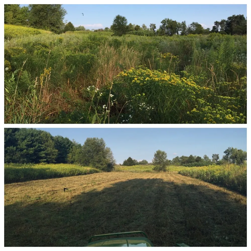 Affordable residential landscaping in Webberville, MI - Spartan Site Solutions