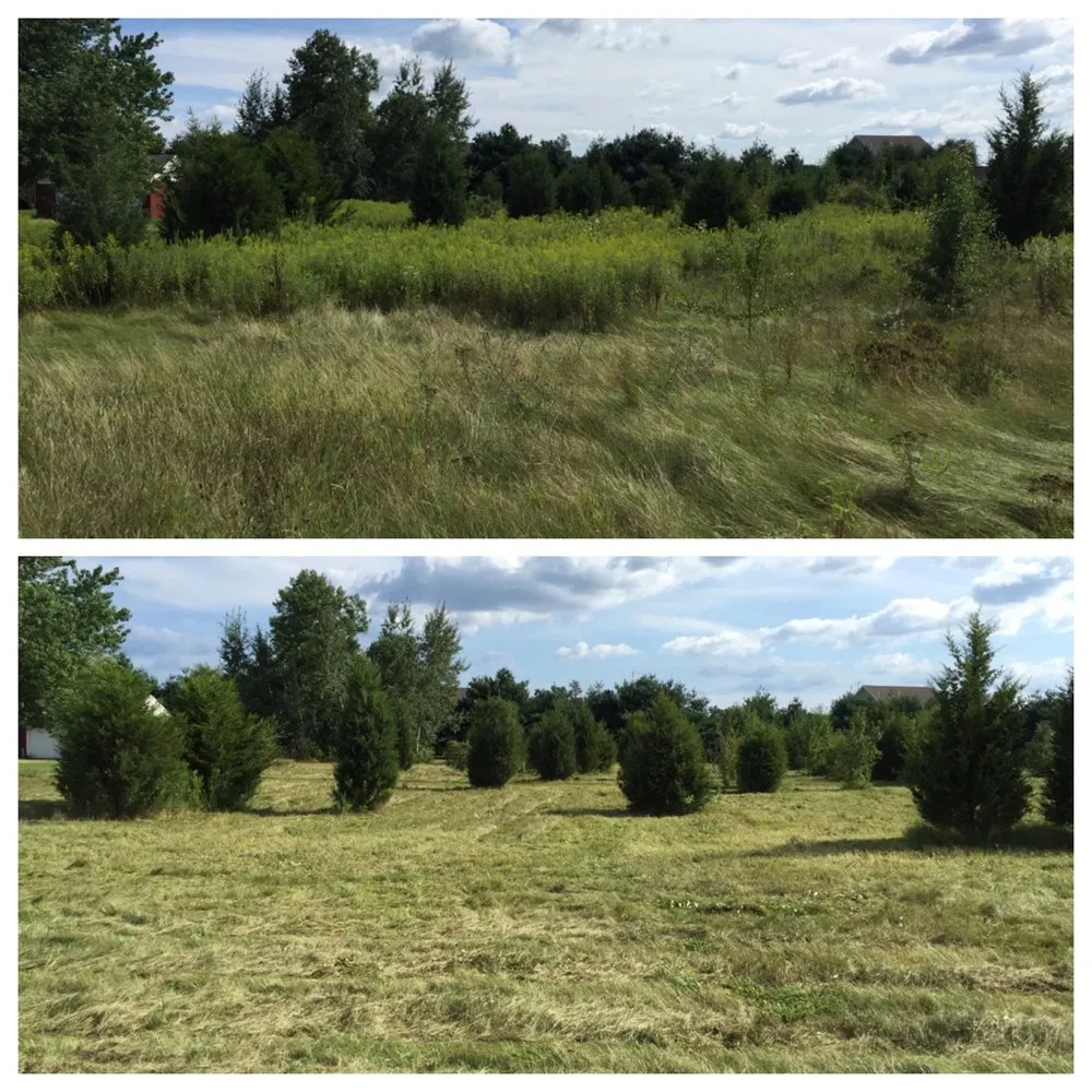 Custom residential landscaping in Webberville, MI by Spartan Site Solutions