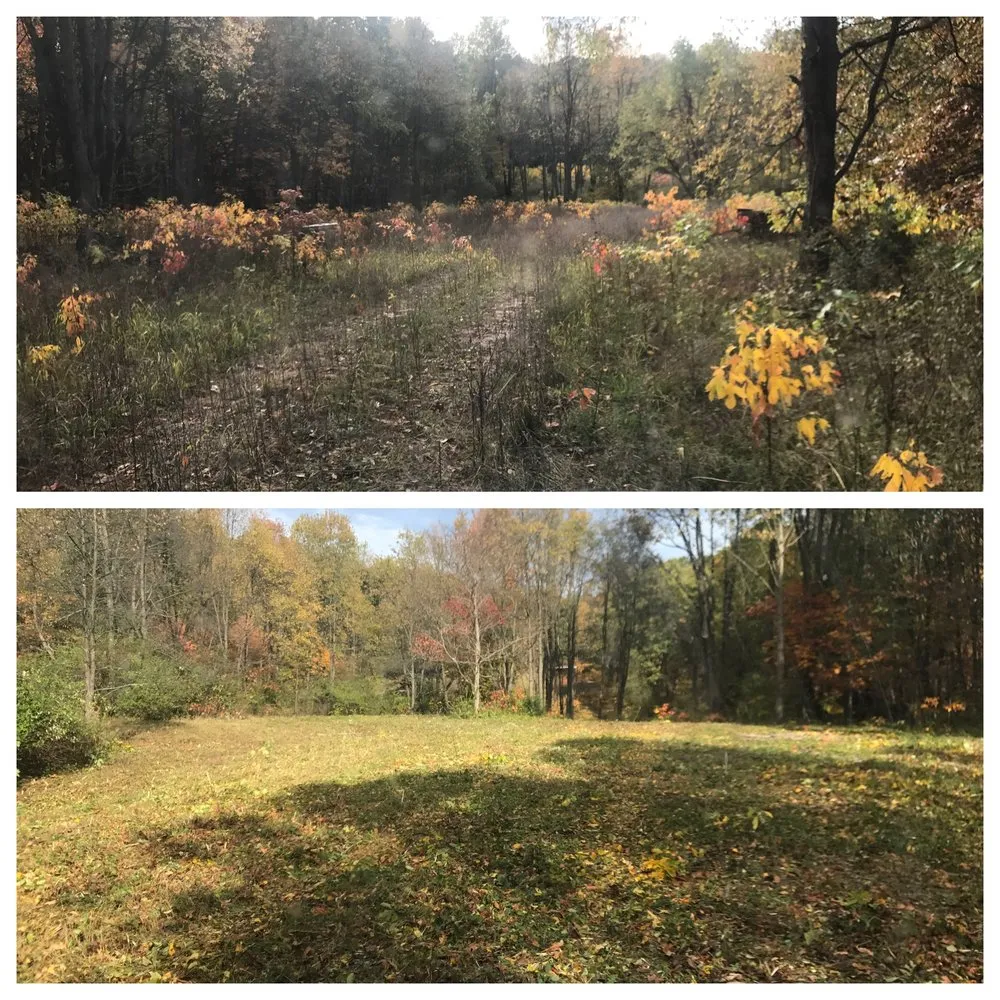 Affordable lawn care service for beautiful yards in Webberville, MI by Spartan Site Solutions