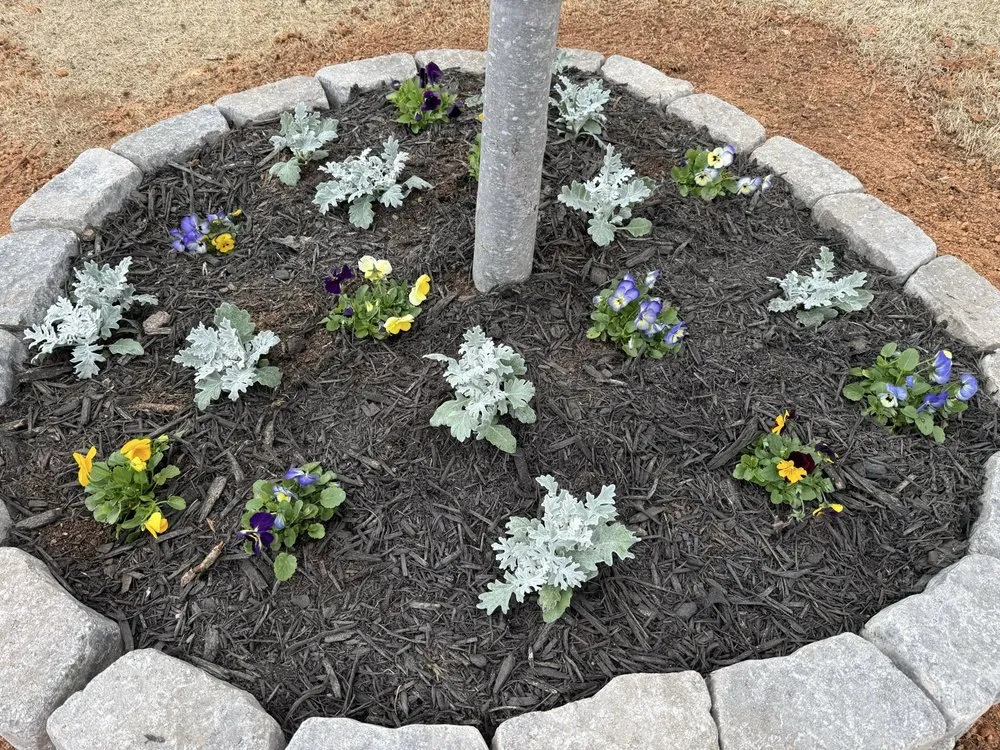 Affordable lawn mowing service for beautiful yards in Spartanburg, SC by Spartan Stripes