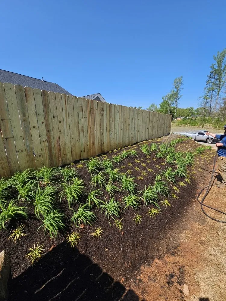 Top-rated lawn care service in Spartanburg, SC by Spartan Stripes