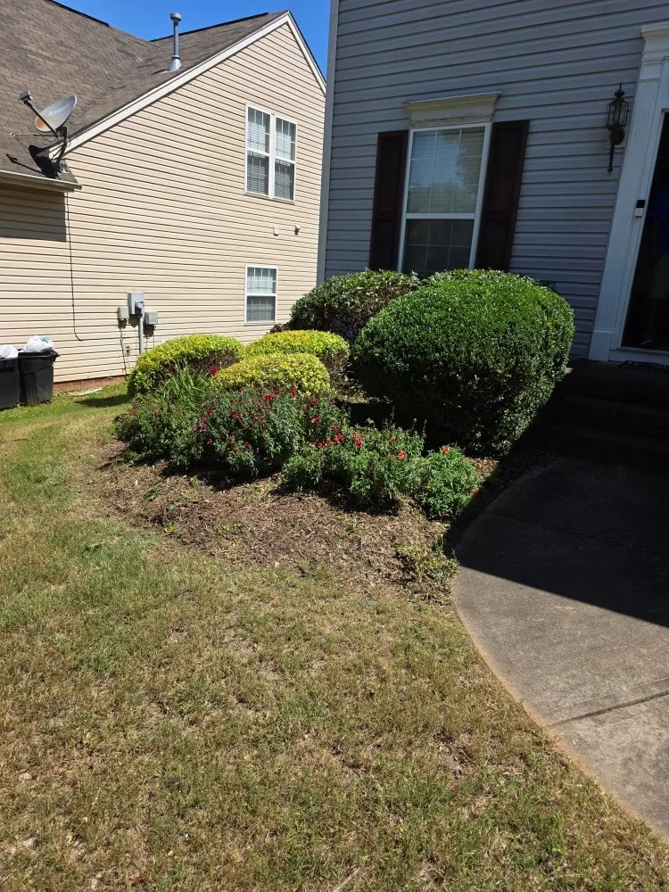Professional lawn care service in Spartanburg, SC - Spartan Stripes