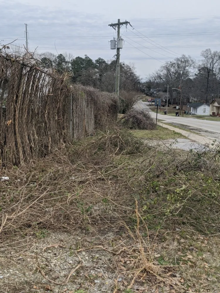 Custom landscaping services in Spartanburg, SC - Spartan Stripes