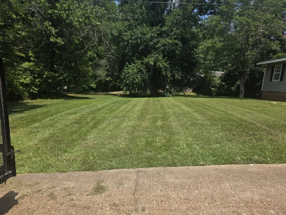 Custom lawn mowing service experts serving Spartanburg, SC - Spartan Stripes