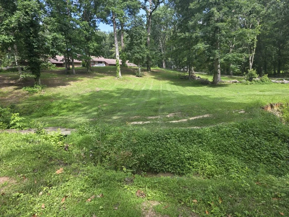 Local landscape design with custom design across Spartanburg, SC - Spartan Stripes