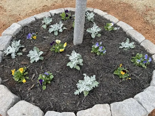 Spartan Stripes Logo