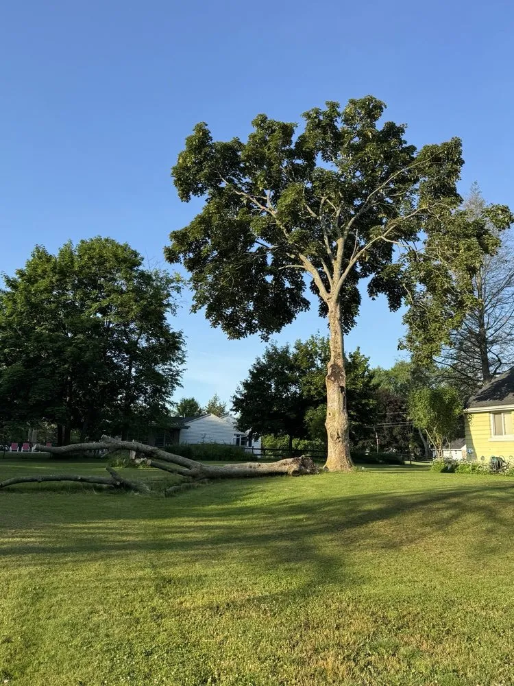 Top-rated landscape installation experts serving Fairport, NY - Spartan Tree and Landscape