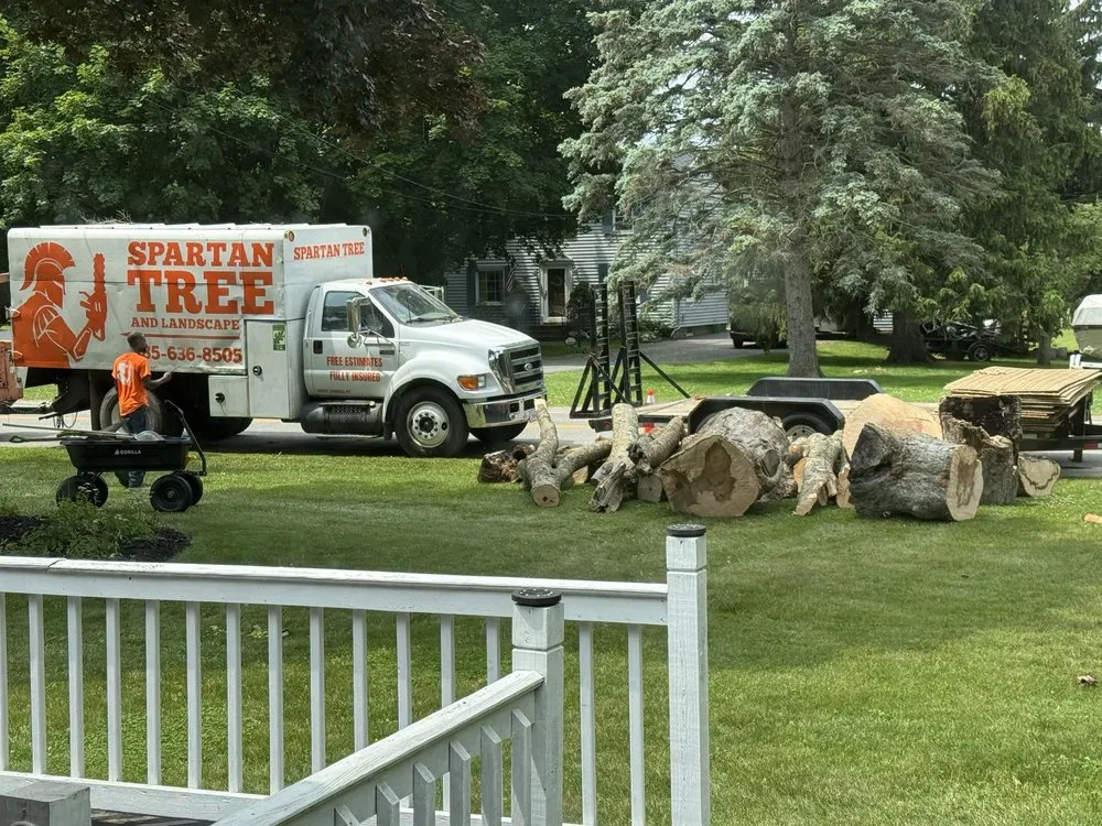 Expert lawn care service experts serving Fairport, NY - Spartan Tree and Landscape