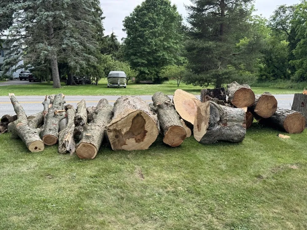 Professional garden landscaping experts serving Fairport, NY - Spartan Tree and Landscape