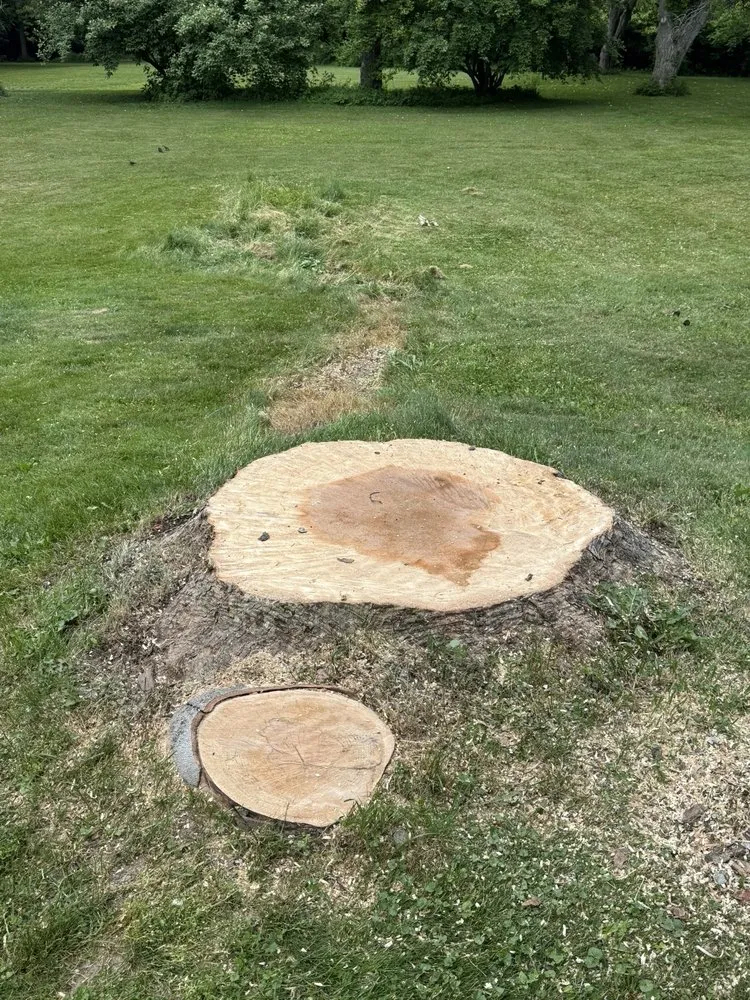 Trusted landscape design experts serving Fairport, NY - Spartan Tree and Landscape