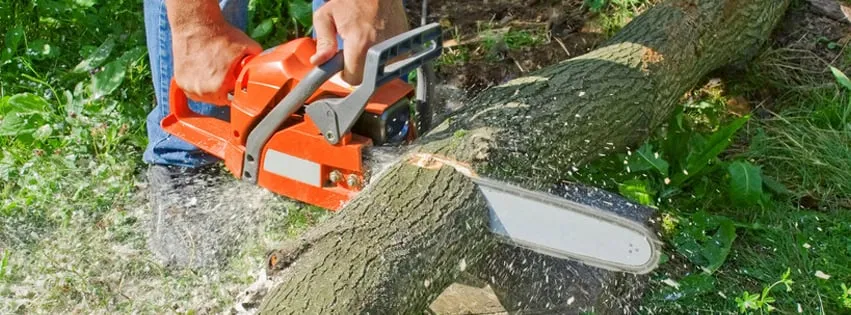 Affordable lawn care service for year-round maintenance in Lapeer, MI by Spartan Tree Care