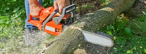 Spartan Tree Care Logo