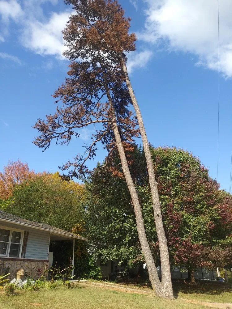 Custom landscaping services in SPARTANBURG, SC by Spartan Tree Care