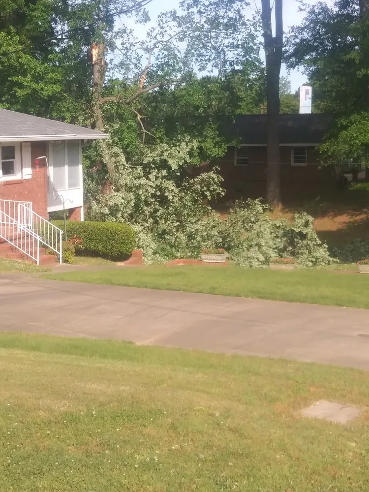 Reliable landscape installation in SPARTANBURG, SC by Spartan Tree Care