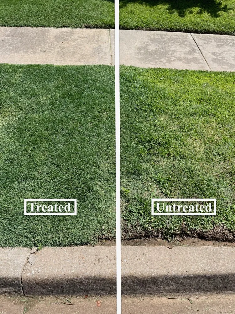 Local landscape design in Newcastle, OK - Spartan Weed Control