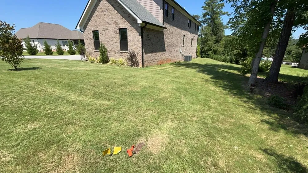 Custom garden landscaping in Spartanburg, SC - SpartanGreen Construction