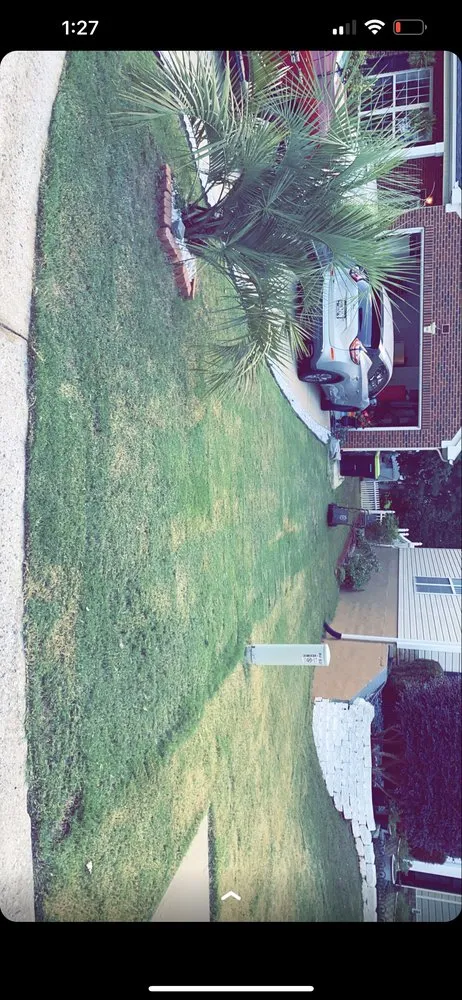 Affordable lawn care service experts serving Spartanburg, SC - SpartanGreen Construction