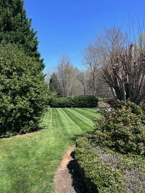 Affordable lawn care service experts serving Winston-Salem, NC - Spartans Lawn Care Services