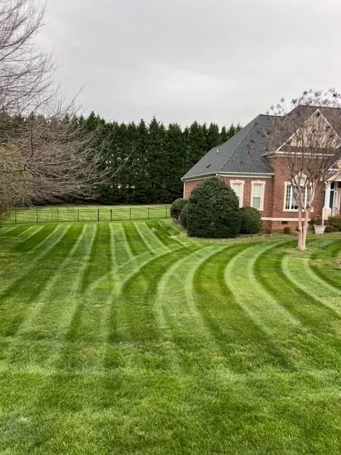 Professional landscape installation in Winston-Salem, NC by Spartans Lawn Care Services