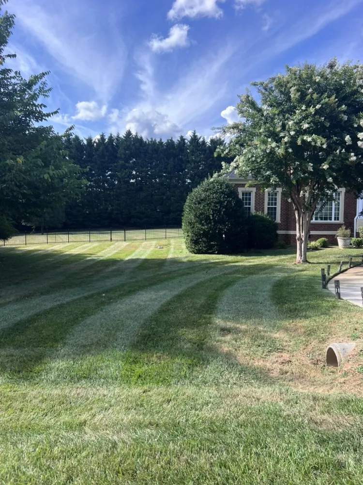 Trusted residential landscaping for beautiful yards in Winston-Salem, NC by Spartans Lawn Care Services