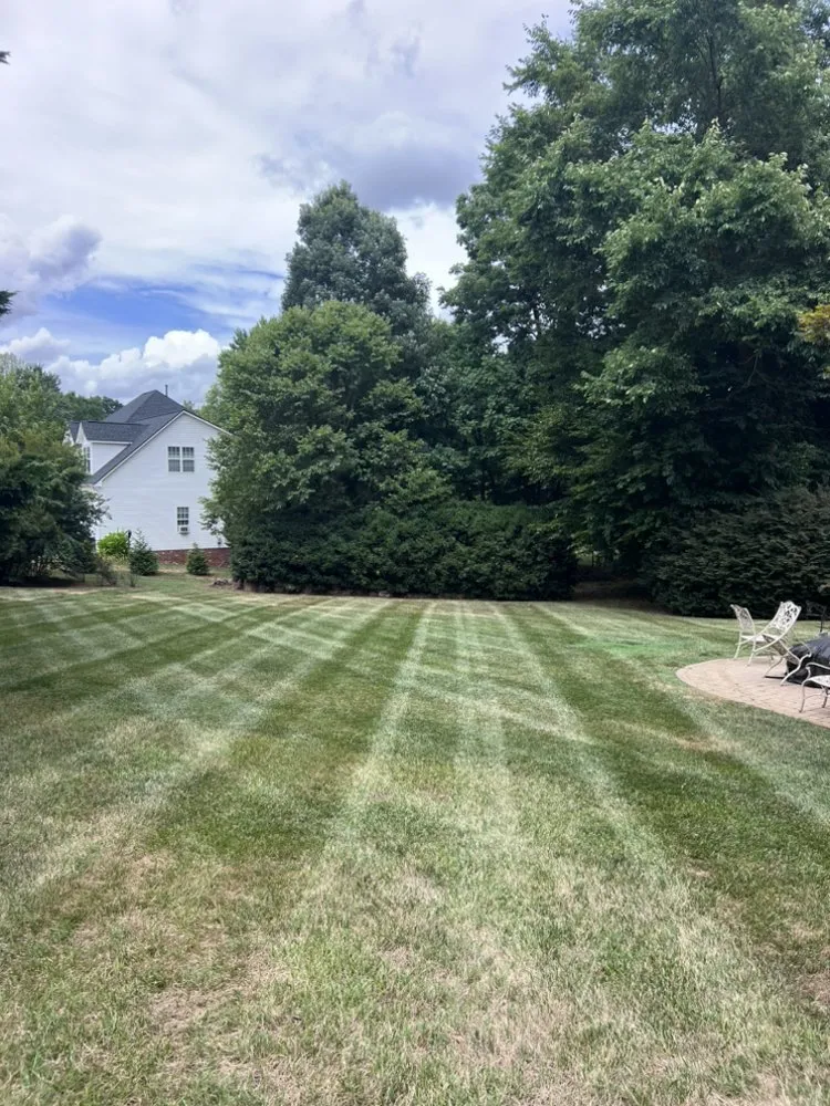 Professional landscape design in Winston-Salem, NC - Spartans Lawn Care Services