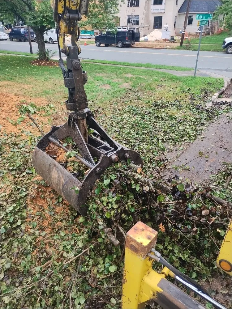 Top-rated garden landscaping for outdoor upgrades across Charlotte, NC - Spaulding Tree Service