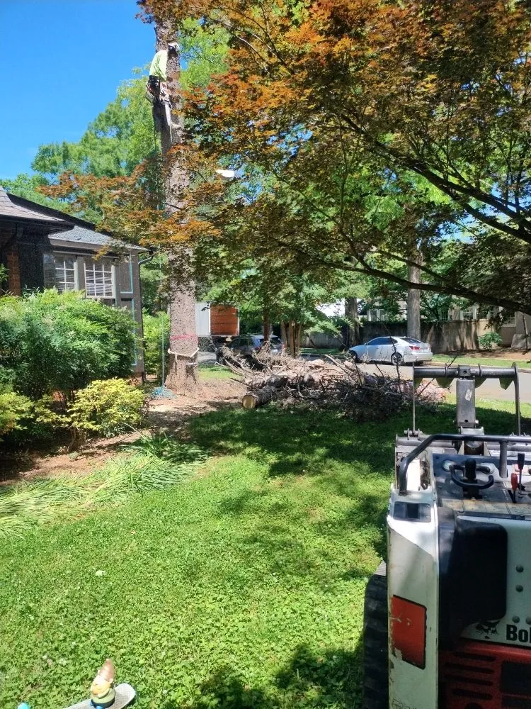 Top-rated lawn mowing service in Charlotte, NC by Spaulding Tree Service