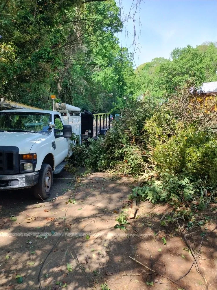 Custom outdoor landscaping in Charlotte, NC - Spaulding Tree Service