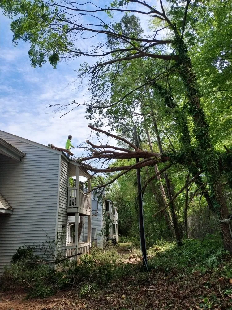 Custom landscape design experts serving Charlotte, NC - Spaulding Tree Service