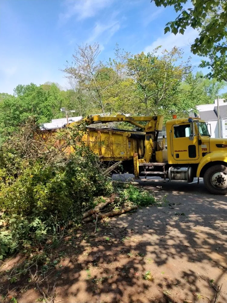 Top-rated landscape installation experts serving Charlotte, NC - Spaulding Tree Service