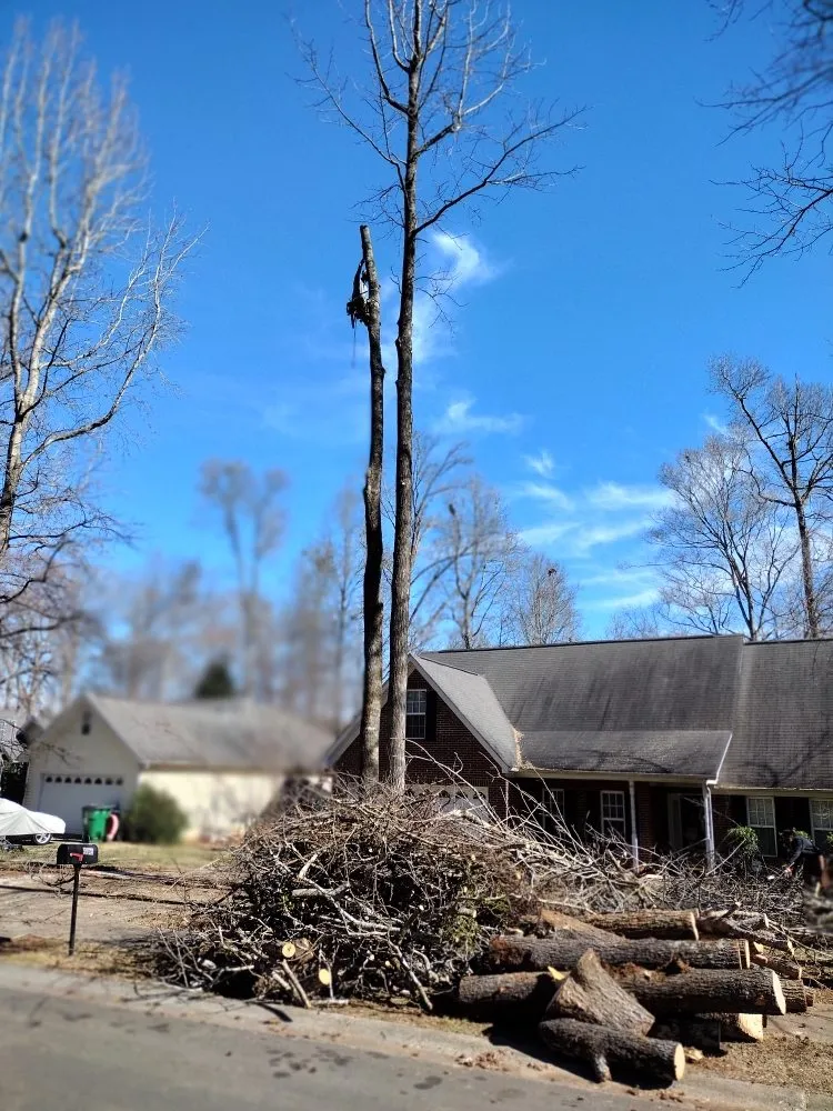 Professional lawn care service near you across Charlotte, NC - Spaulding Tree Service