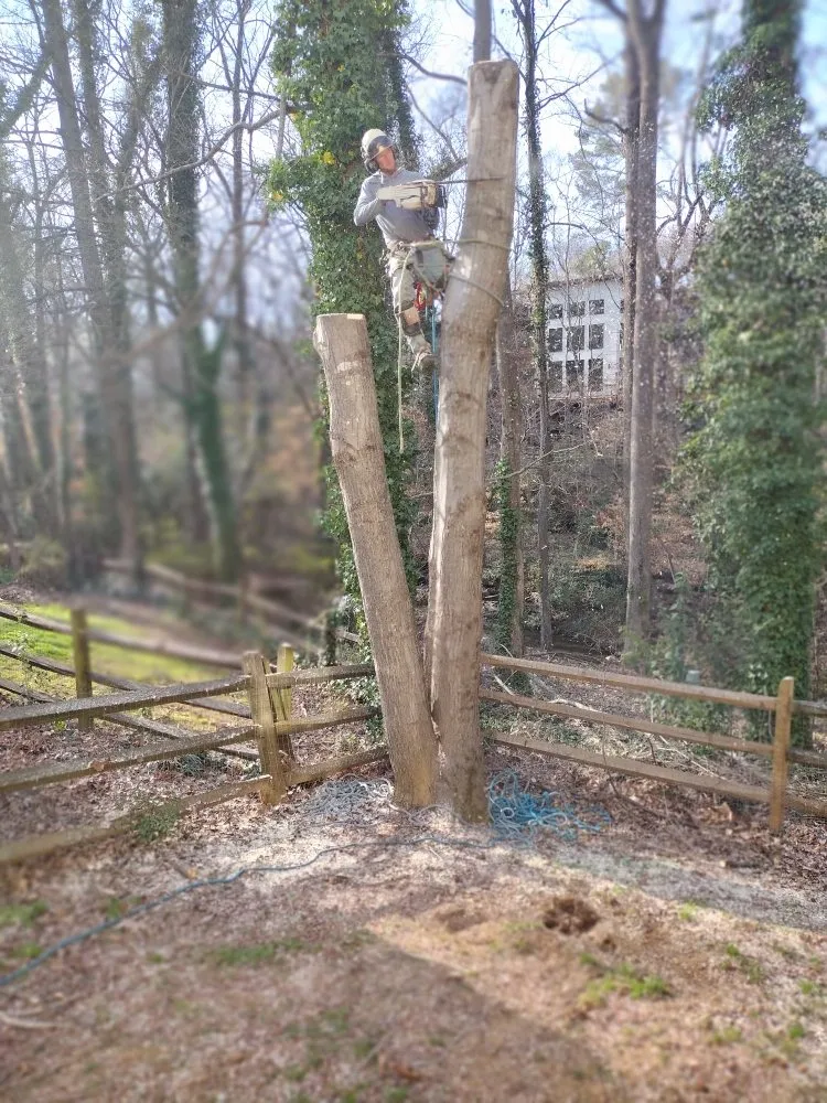 Local lawn care service near you in Charlotte, NC by Spaulding Tree Service