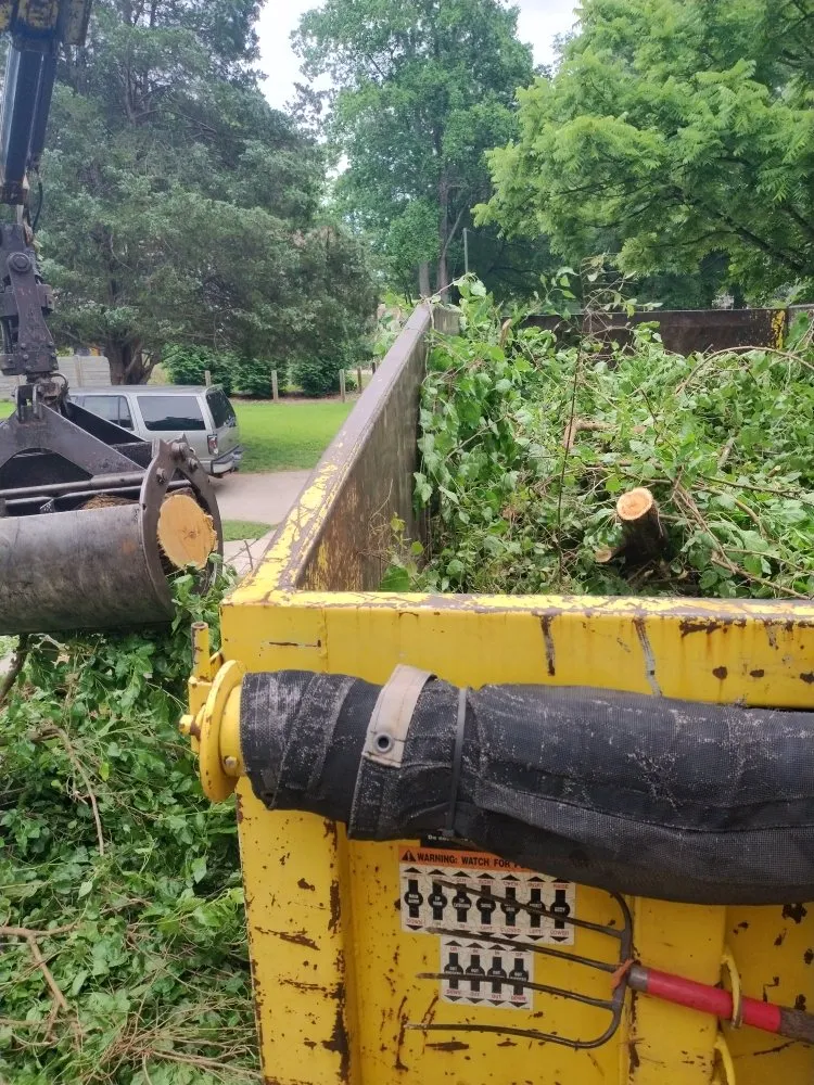 Top-rated outdoor landscaping near you in Charlotte, NC by Spaulding Tree Service