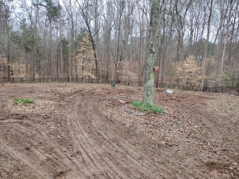 Reliable outdoor landscaping for residential properties in Charlotte, NC by Spaulding Tree Service